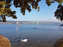 2016 ASK Segel-Cup Beinwil am See 29. Oktober 2016 20161029_151640
